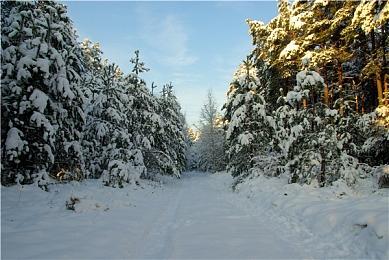 《神奇四侠：初露锋芒》人物海报曝光！漫威第一“权威”家庭